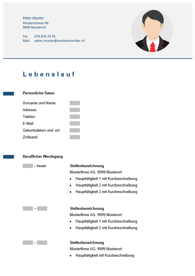 Lebenslauf Vorlage #2 – Modern grau